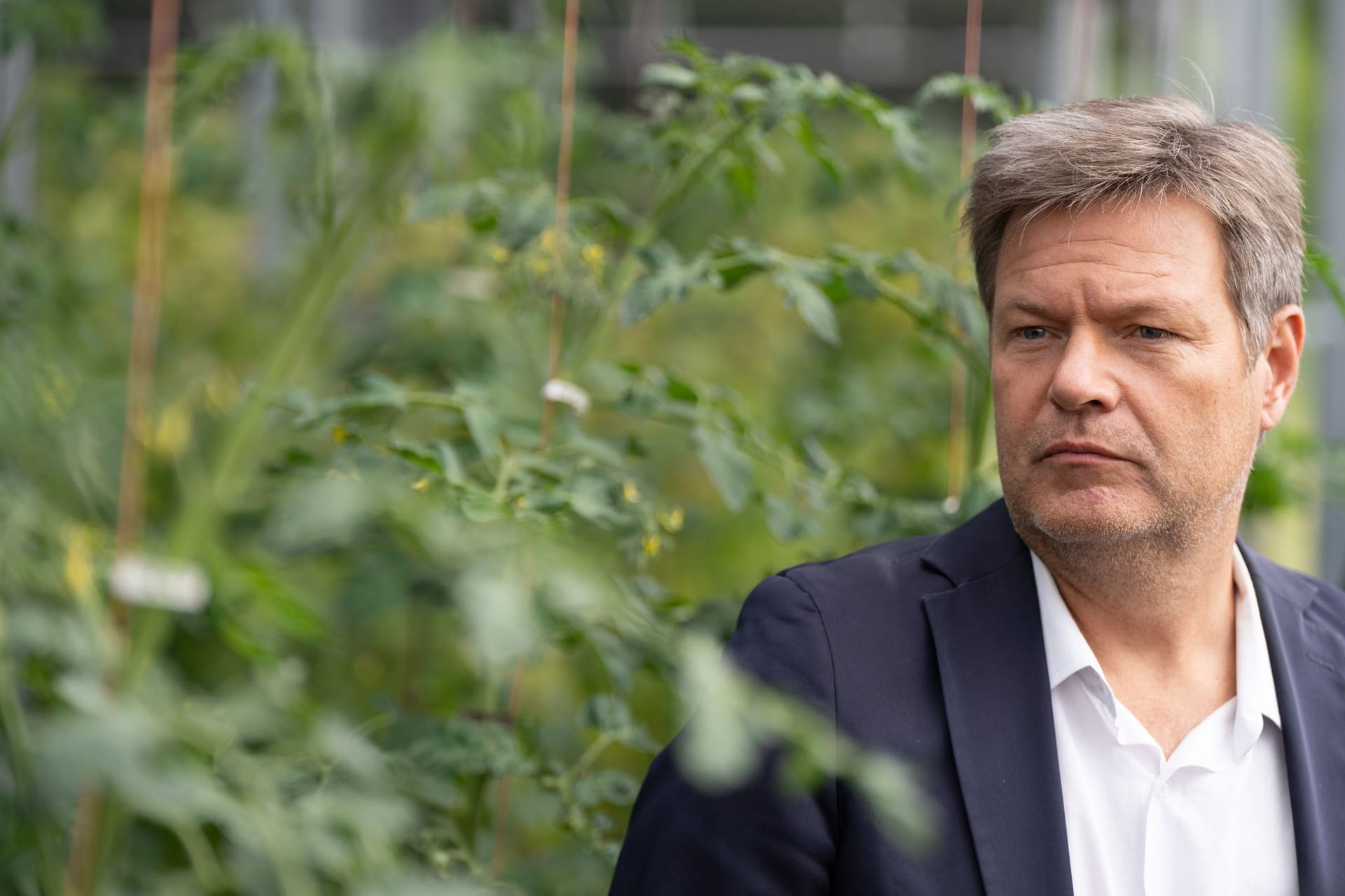 Bundesminister Habeck besucht die Sunfarming GmbH