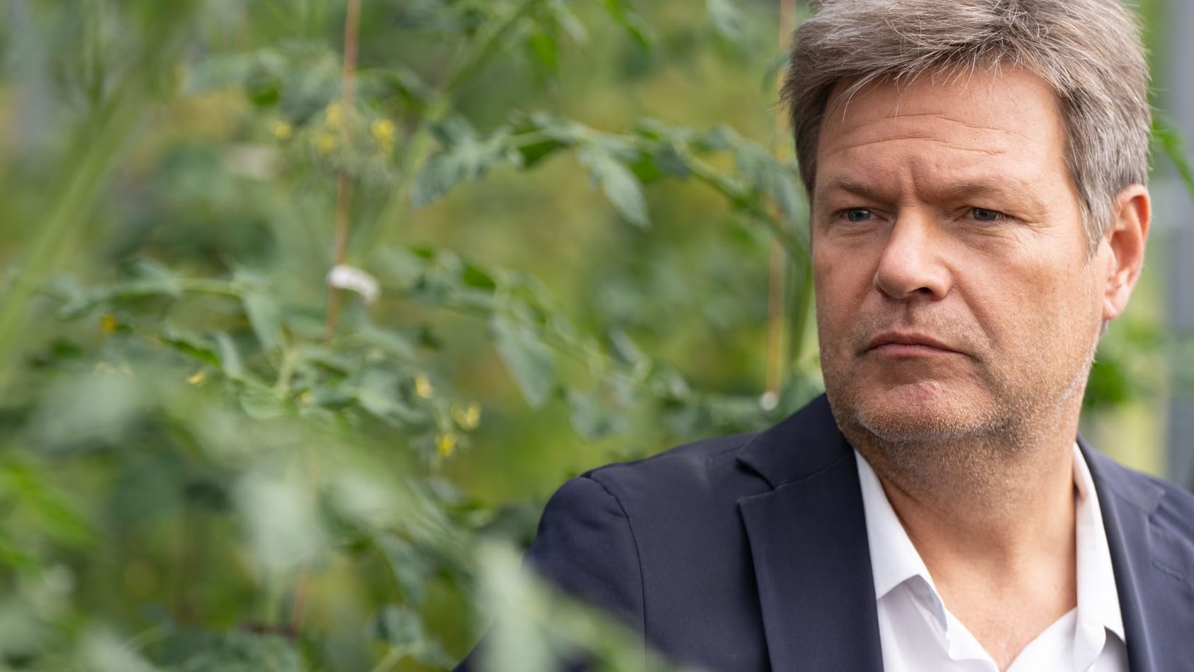 Bundesminister Habeck besucht die Sunfarming GmbH