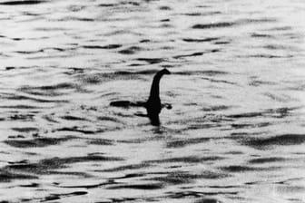 Ein angebliches Foto des Monsters von Loch Ness aus dem Jahr 1934: Am kommenden Wochenende wollen Abenteurer erneut nach "Nessie" suchen.