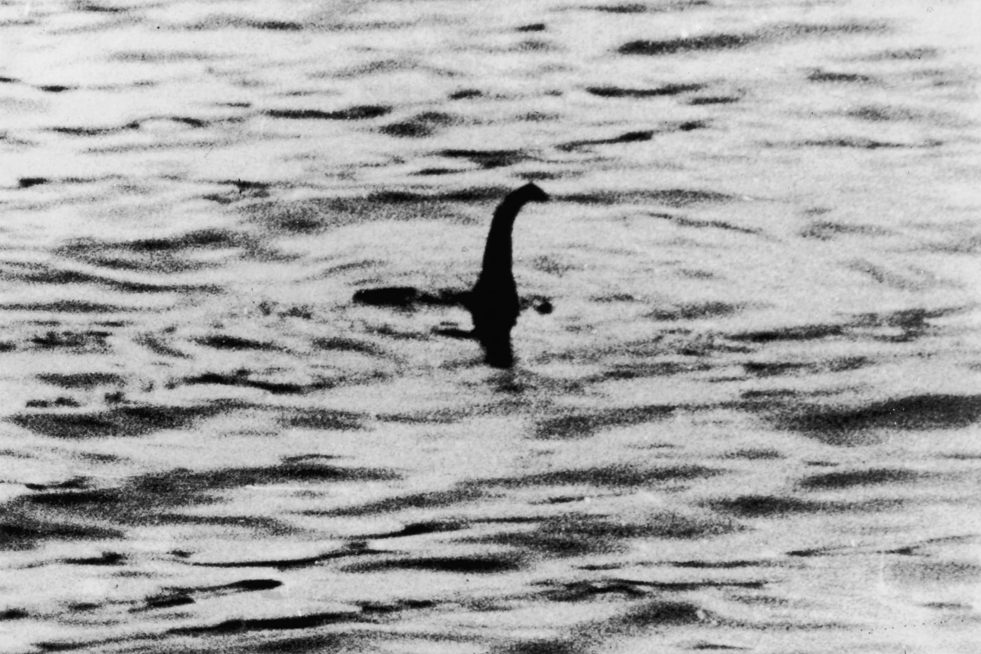 Ein angebliches Foto des Monsters von Loch Ness aus dem Jahr 1934: Am kommenden Wochenende wollen Abenteurer erneut nach "Nessie" suchen.