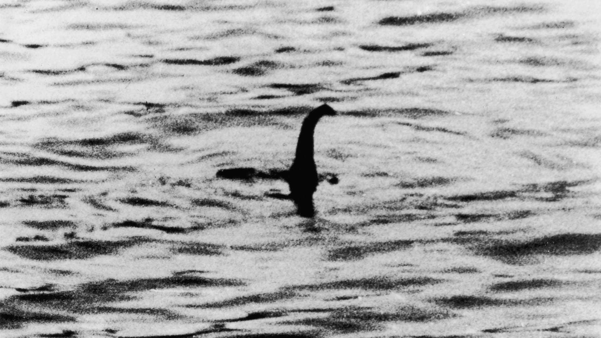 Ein angebliches Foto des Monsters von Loch Ness aus dem Jahr 1934: Am kommenden Wochenende wollen Abenteurer erneut nach "Nessie" suchen.