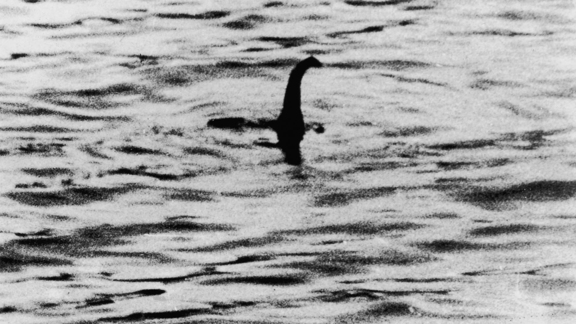 Ein angebliches Foto des Monsters von Loch Ness aus dem Jahr 1934: Am kommenden Wochenende wollen Abenteurer erneut nach "Nessie" suchen.