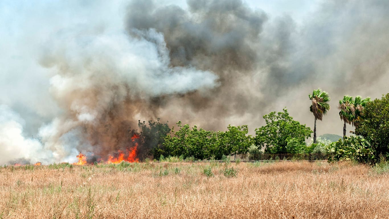 Feuer auf Sizilien im Juli: Jetzt brennt es auch auf der italienischen Insel Elba.