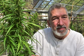 Andreas Gerhold steht in der Nutzhanf-Plantage: Noch sieht er keine Perspektive für legalen Cannabisanbau in Vereinen.