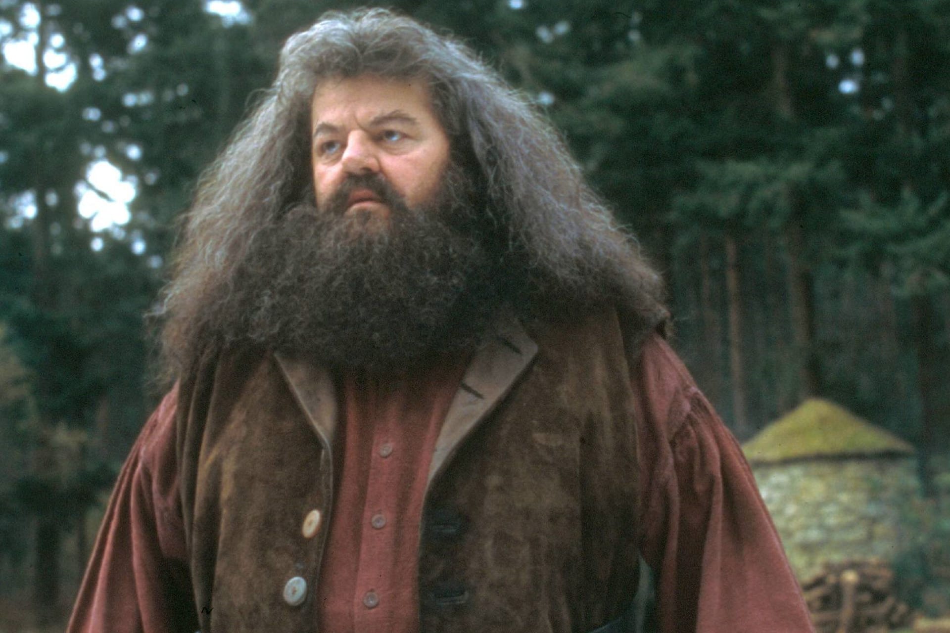 Hogwarts-Hüter Rubeus Hagrid