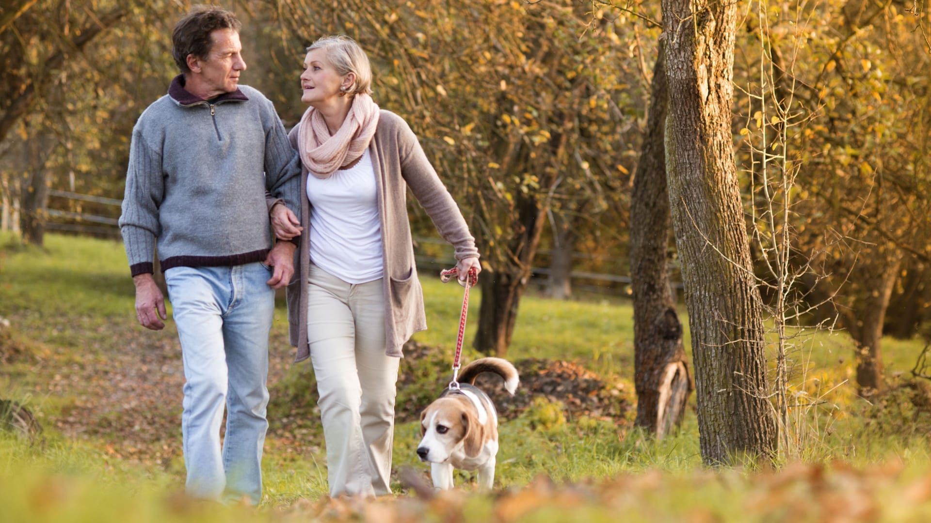 Mann und Frau gehen mit Hund spazieren