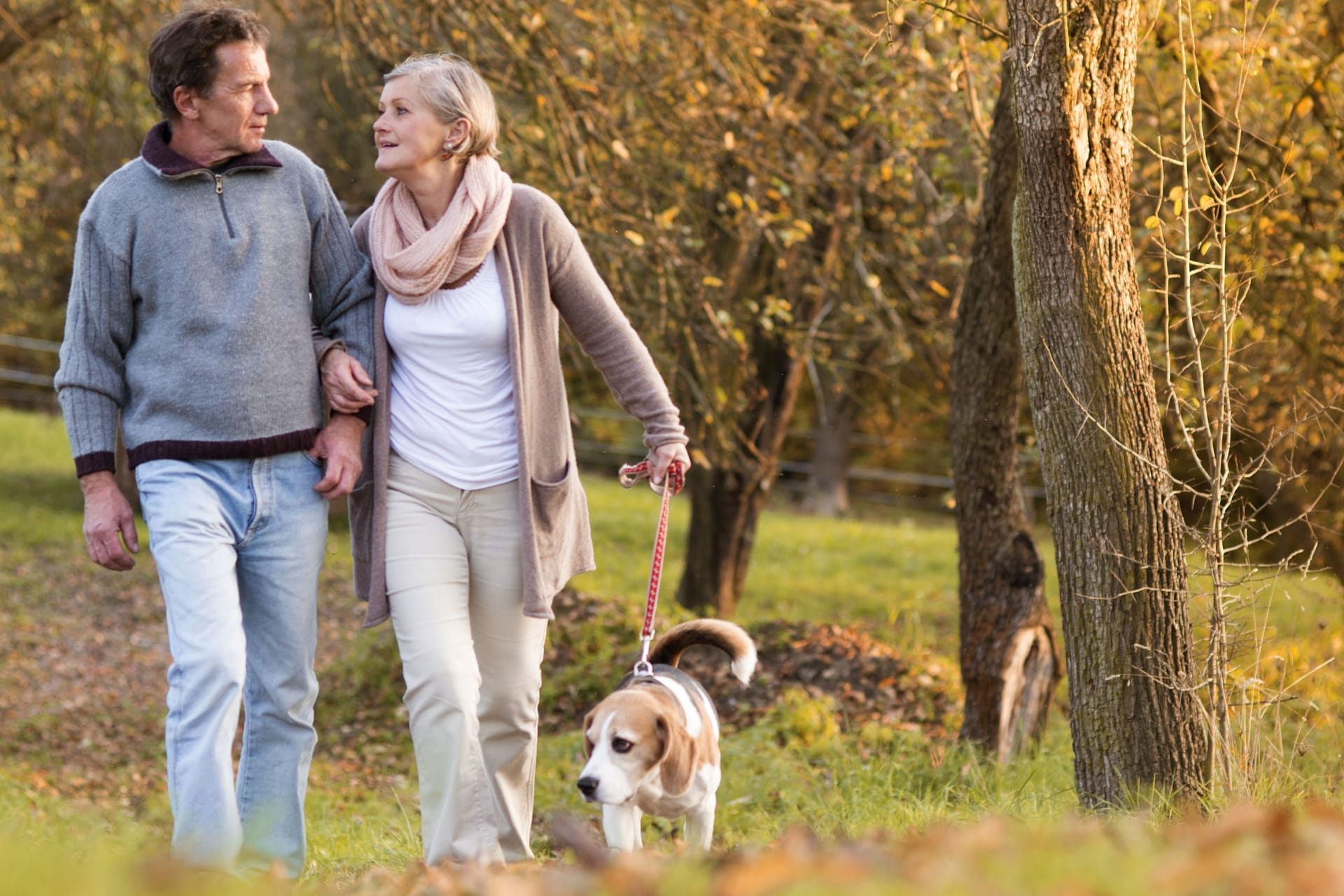 Mann und Frau gehen mit Hund spazieren