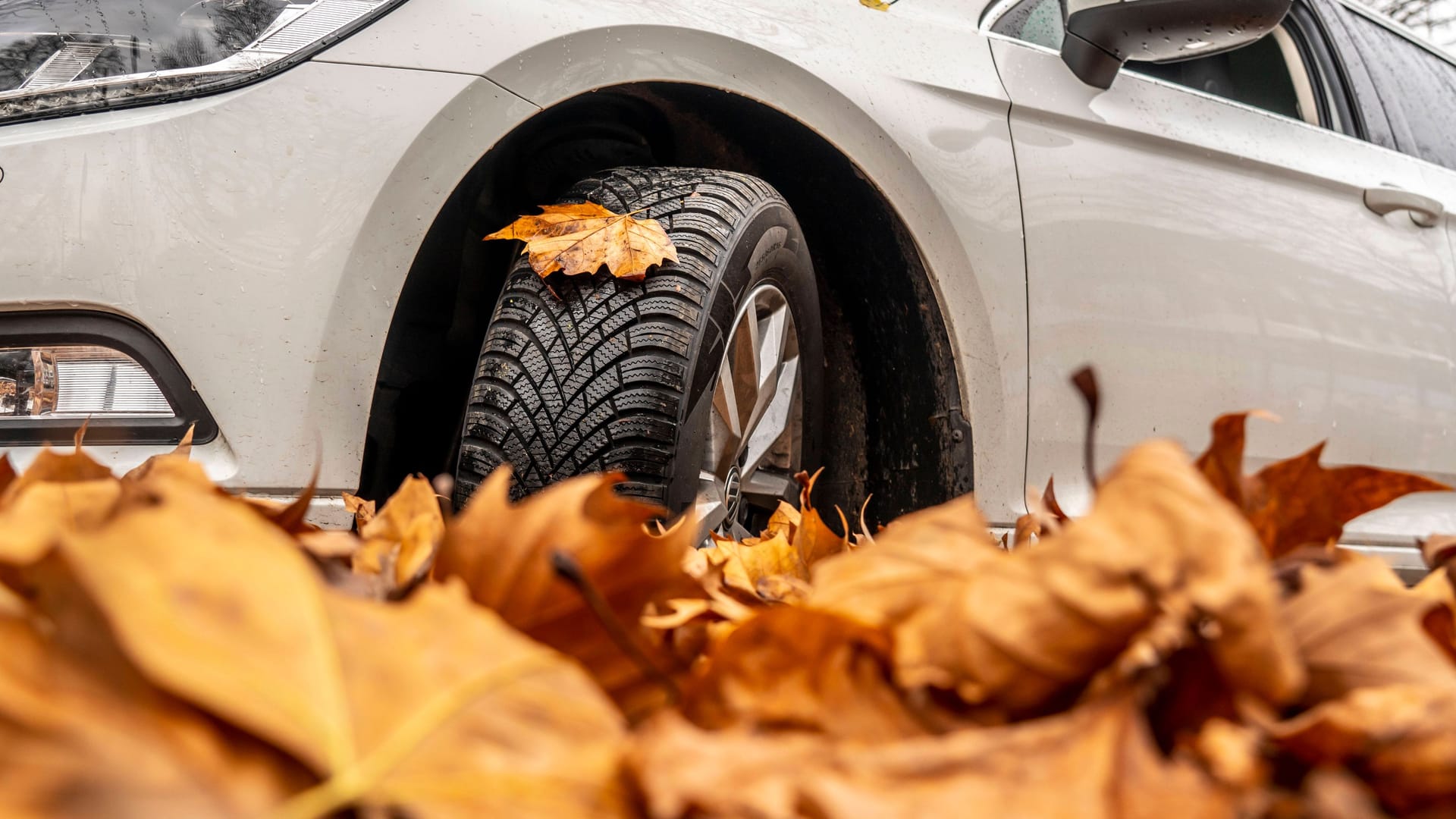 Glattes Herbstlaub und Bodenfrost: Können Allwetterreifen bei schwierigen Verhältnissen mit Winterreifen mithalten?