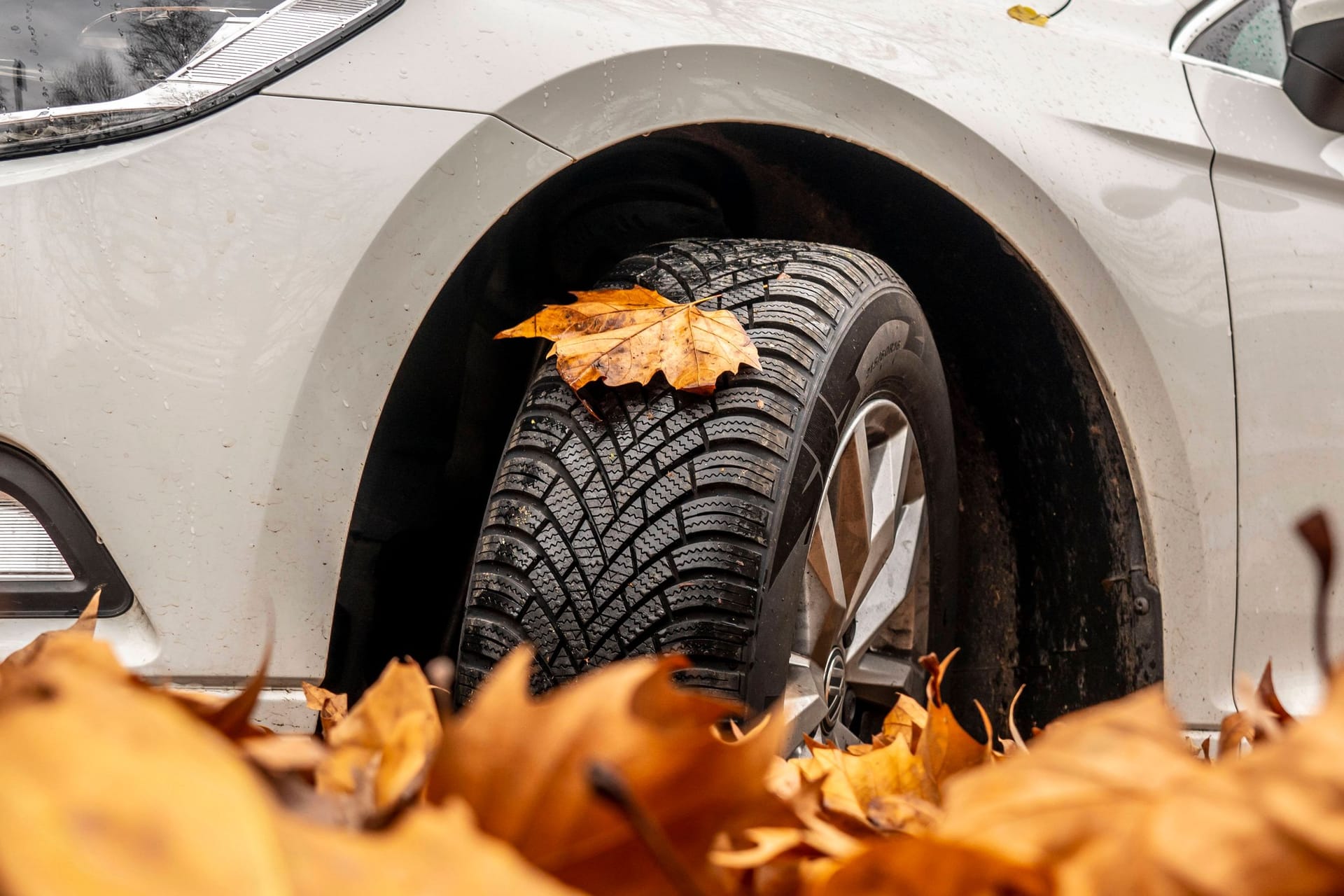 Glattes Herbstlaub und Bodenfrost: Können Allwetterreifen bei schwierigen Verhältnissen mit Winterreifen mithalten?