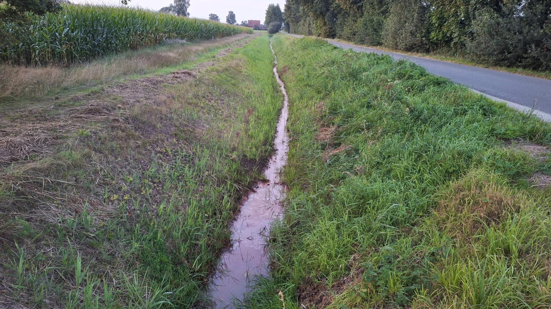 Der Graben neben einer Straße im Landkreis Diepholz: Am Sonntag wurde eine Tote gefunden.