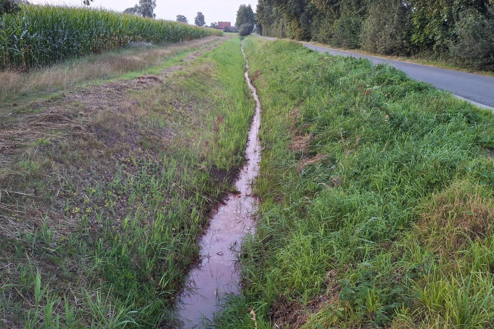 Der Graben neben einer Straße im Landkreis Diepholz: Am Sonntag wurde eine Tote gefunden.