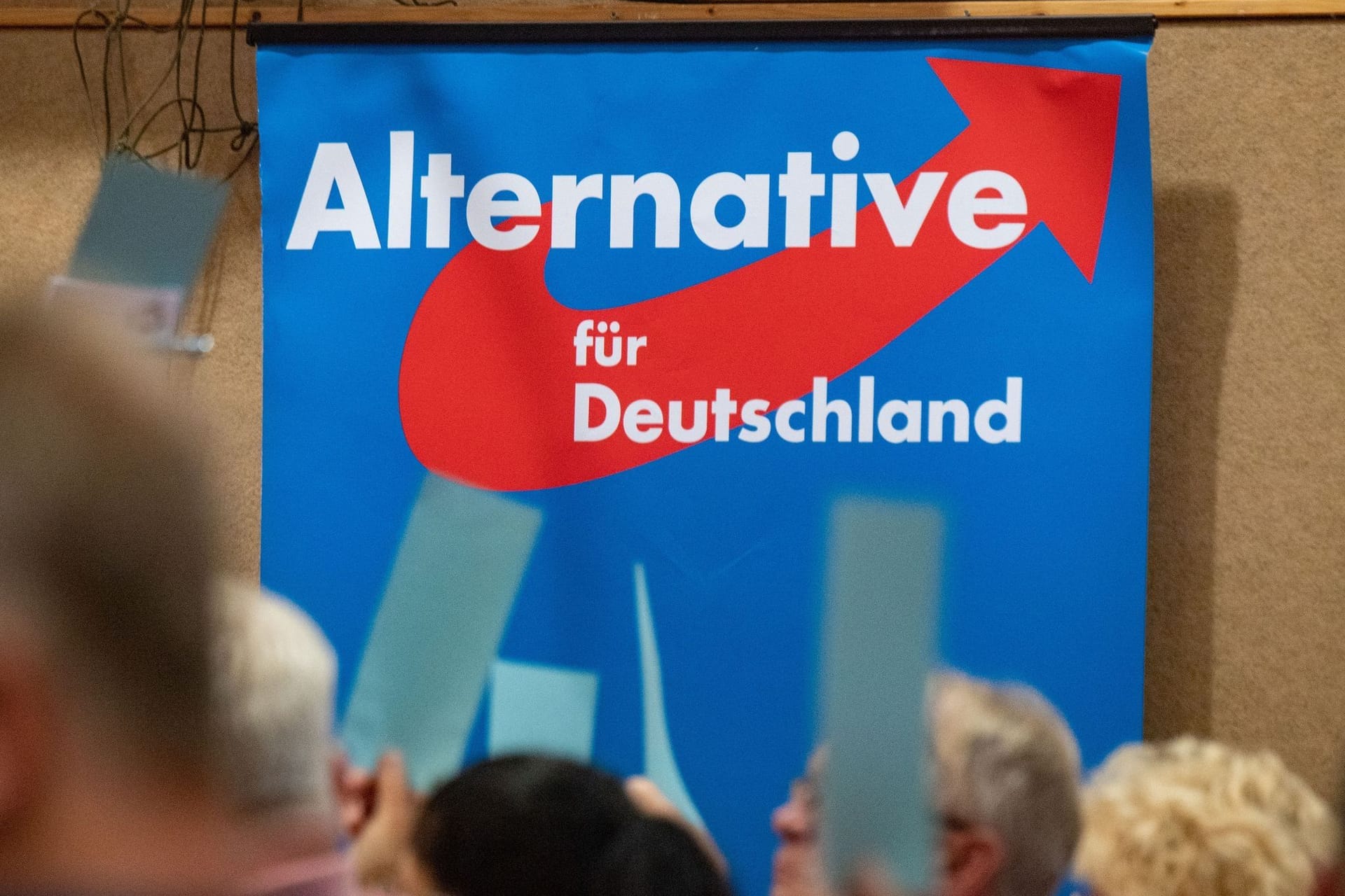 Plakat der AfD