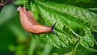 imago images 120784764