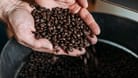 Kaffeebohnen nach der Röstung: Amazon verkauft heute mehrere Sorten von Lavazza für nur rund 10 Euro.