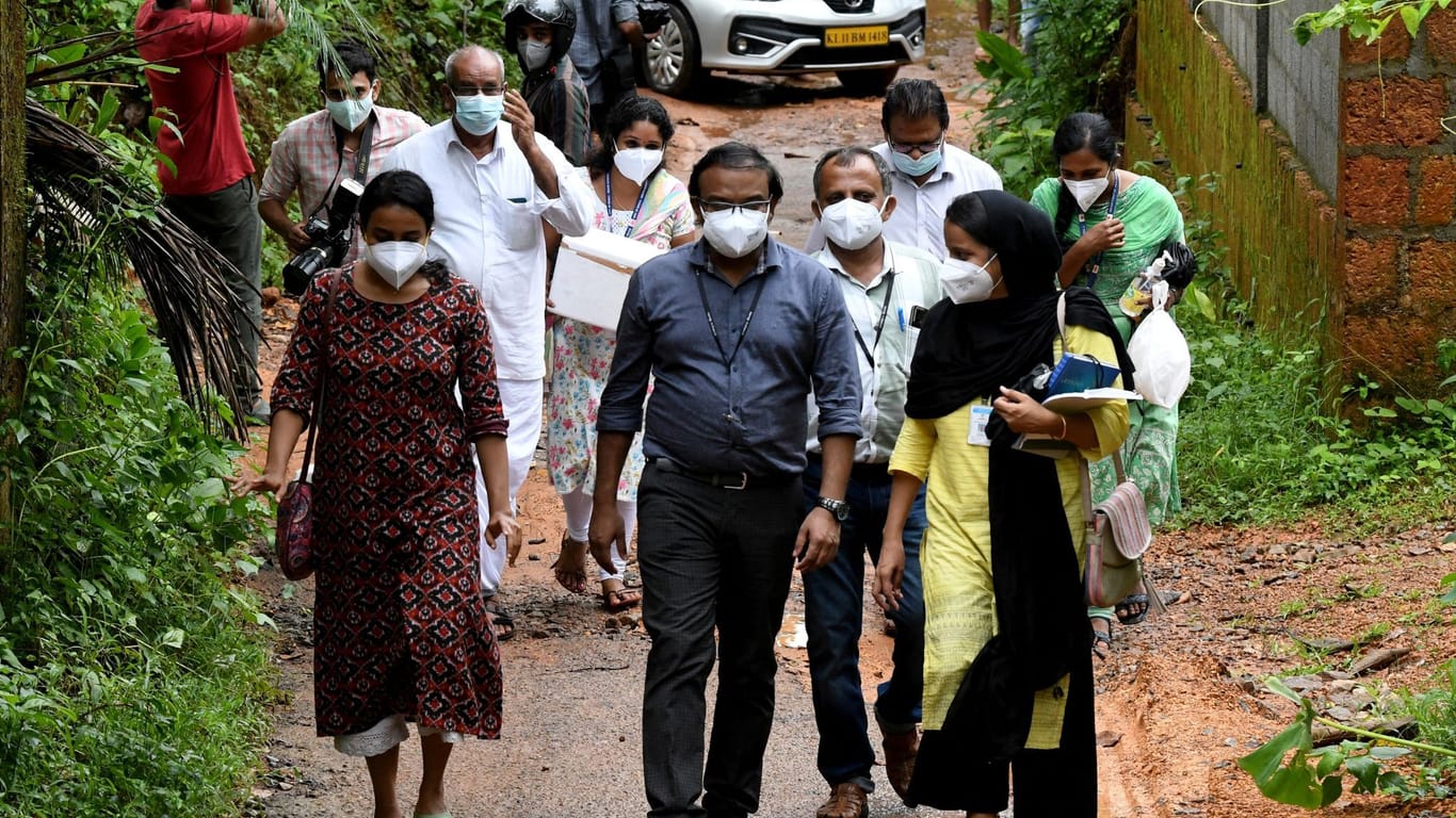 Mitglieder eines Ärzteteams sind in Kerala in Indien unterwegs. Sie sammeln nach einem Nipahvirus-Ausbruch Proben von Früchten.