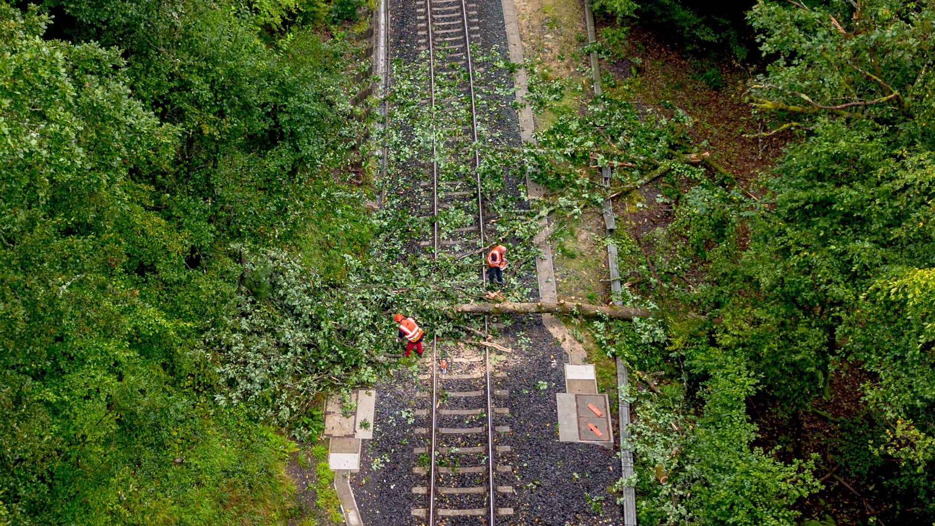 Nach Unwetter in Frankfurt am Main fallen sämtliche Züge aus. Das Foto zeigt einen umgestürzten Baum auf Bahngleisen.