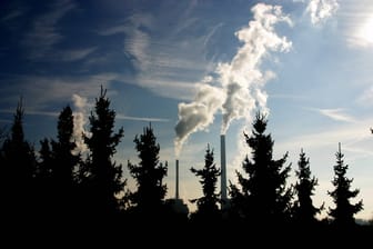Rauchende Schornsteine hinter einer Baumreihe Fichten in Mannheim (Symbolbild): Deutschland wird seine Klimaziele für 2030 wohl verfehlen.