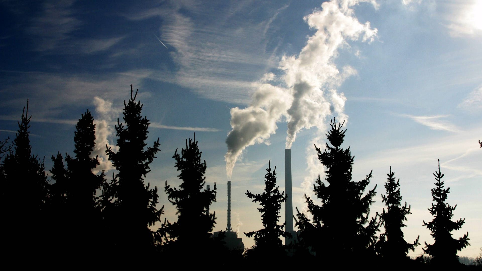 Rauchende Schornsteine hinter einer Baumreihe Fichten in Mannheim (Symbolbild): Deutschland wird seine Klimaziele für 2030 wohl verfehlen.