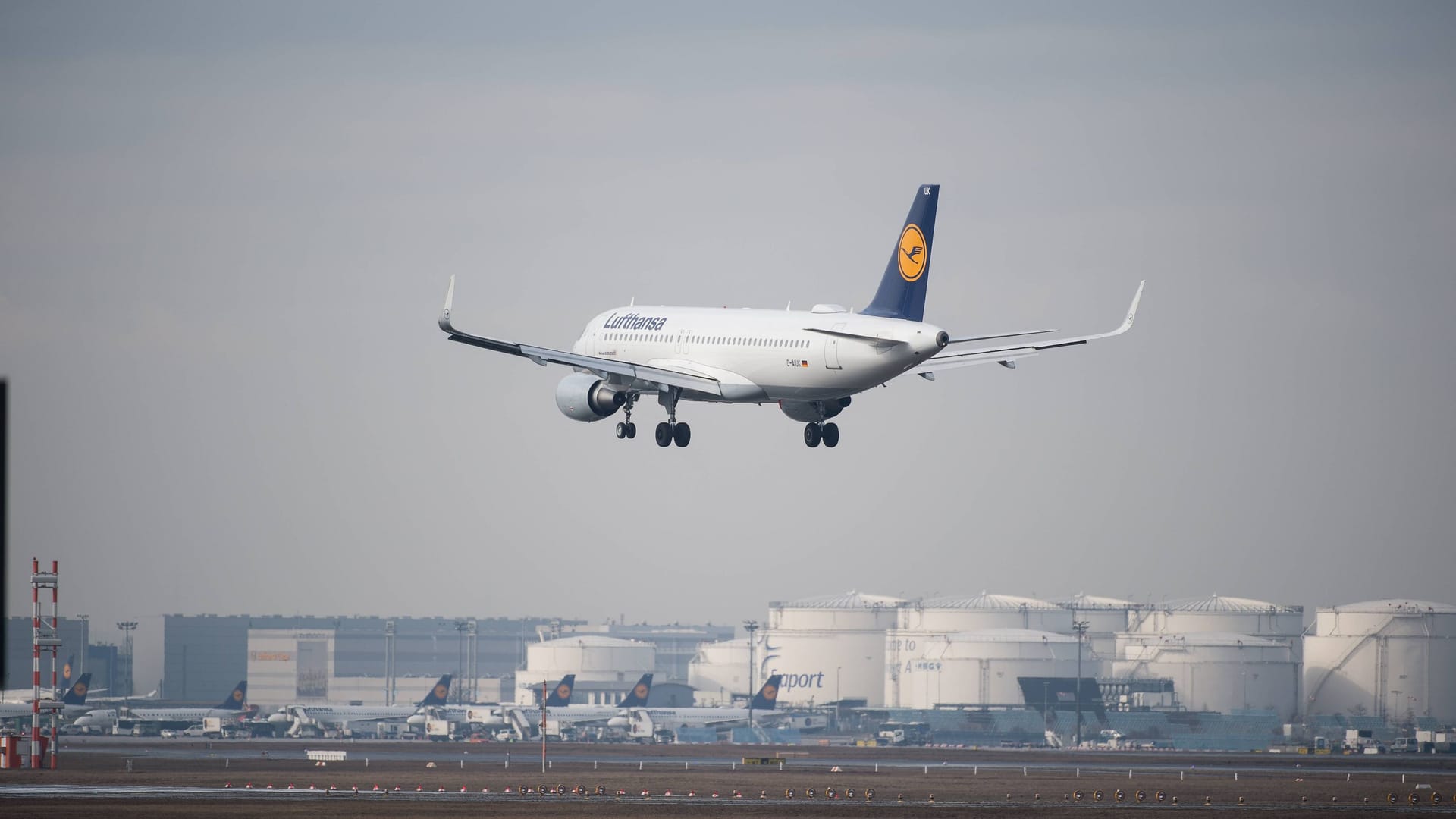 Ein Airbus der Lufthansa im Landeanflug auf Frankfurt am Main (Symbolbild): Trotz des Vorfalls erreichte die Maschine sicher den Boden.