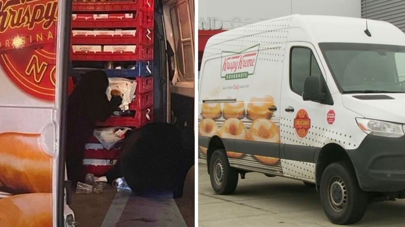 Leckere Ladung für Donut-Café: Hungrige Bärenfamilie raubt Lieferwagen aus