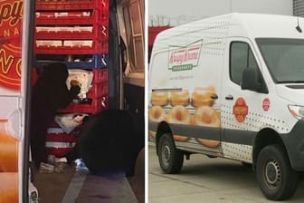 Leckere Ladung für Donut-Café: Hungrige Bärenfamilie raubt Lieferwagen aus