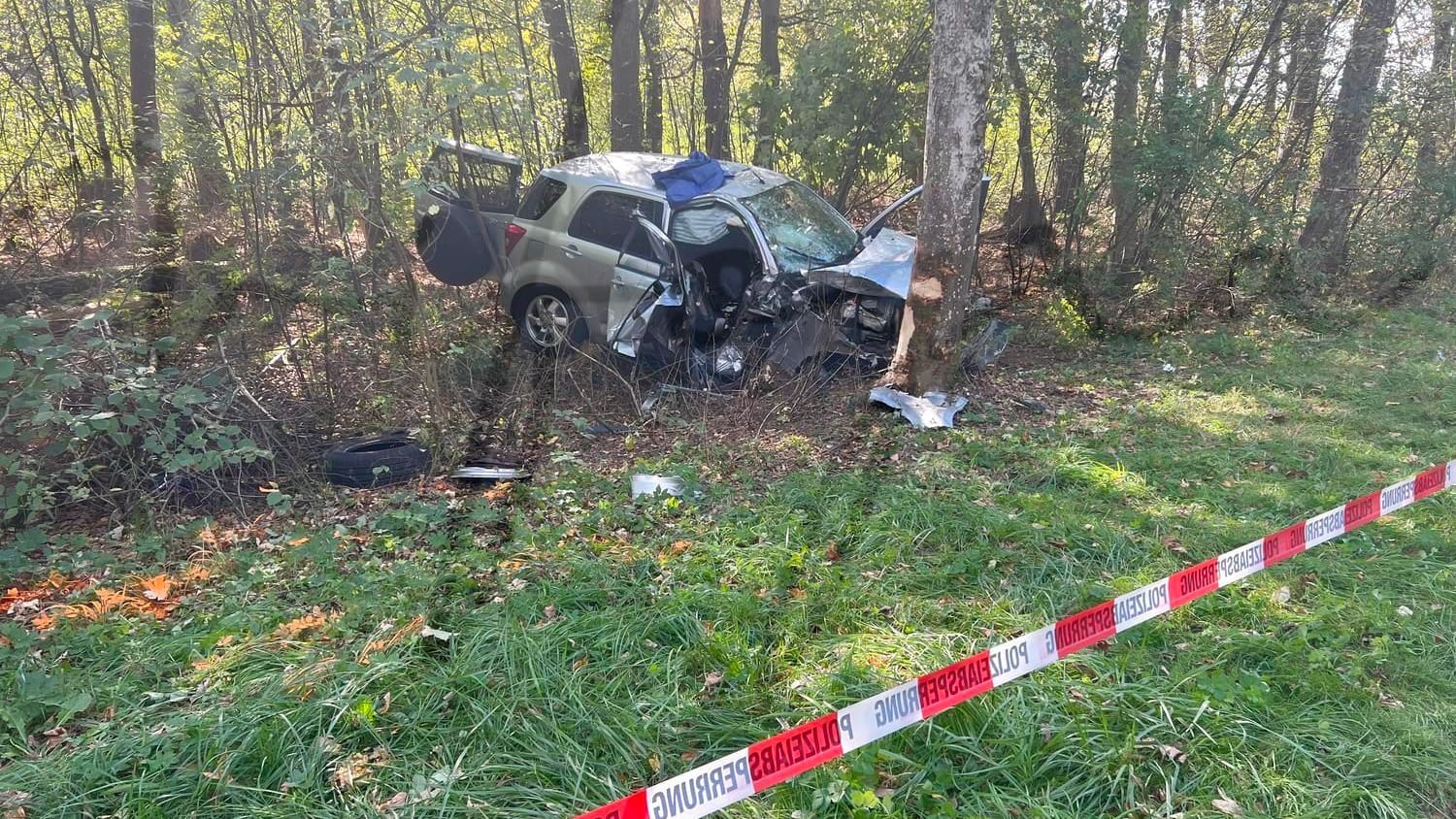 Der zerstörte Wagen der Familie: Eine Frau prallte mit dem Auto gegen einen Baum.