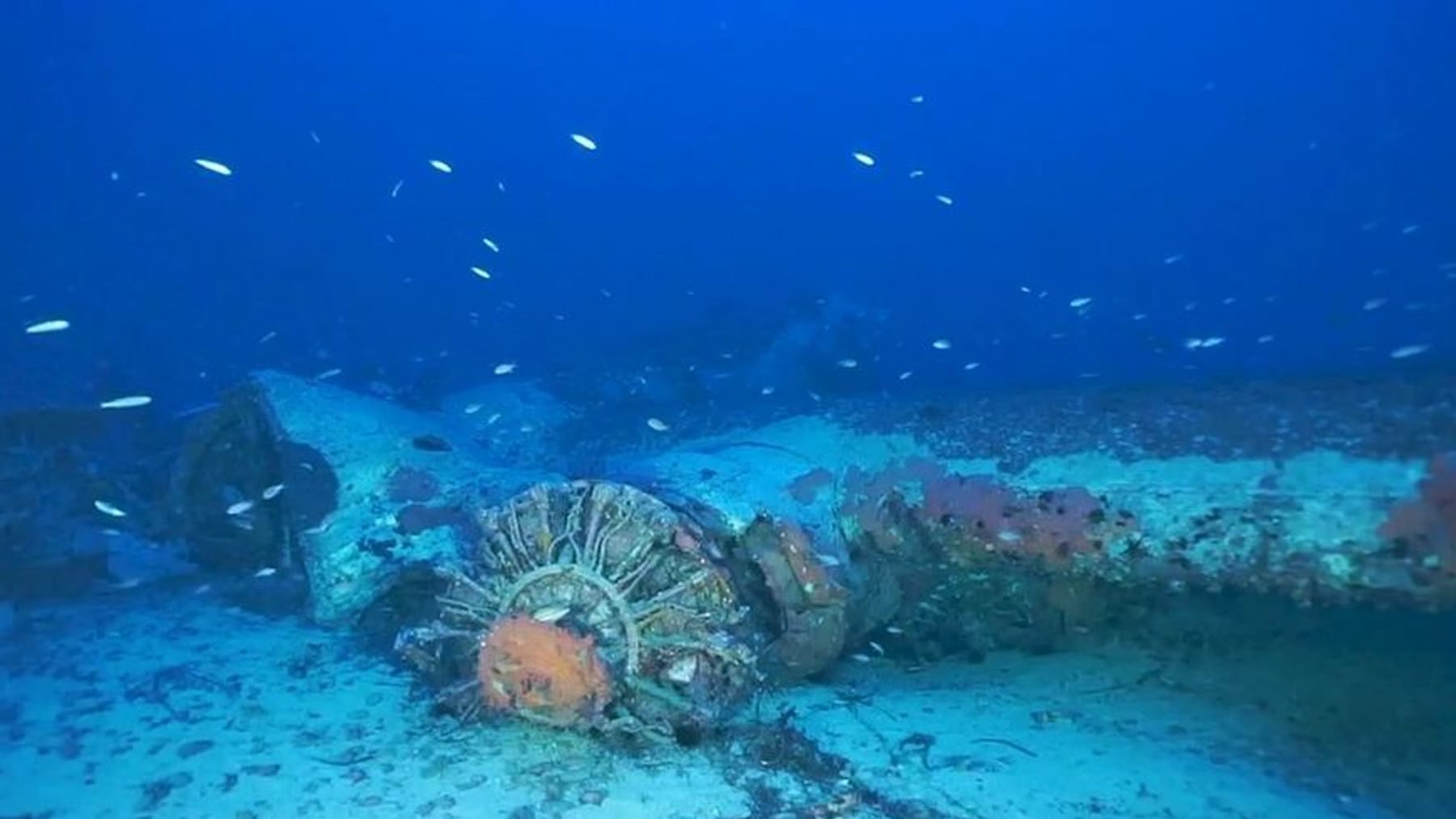 USBomber abgeschossen Soldat nach 80 Jahren aus Wrack