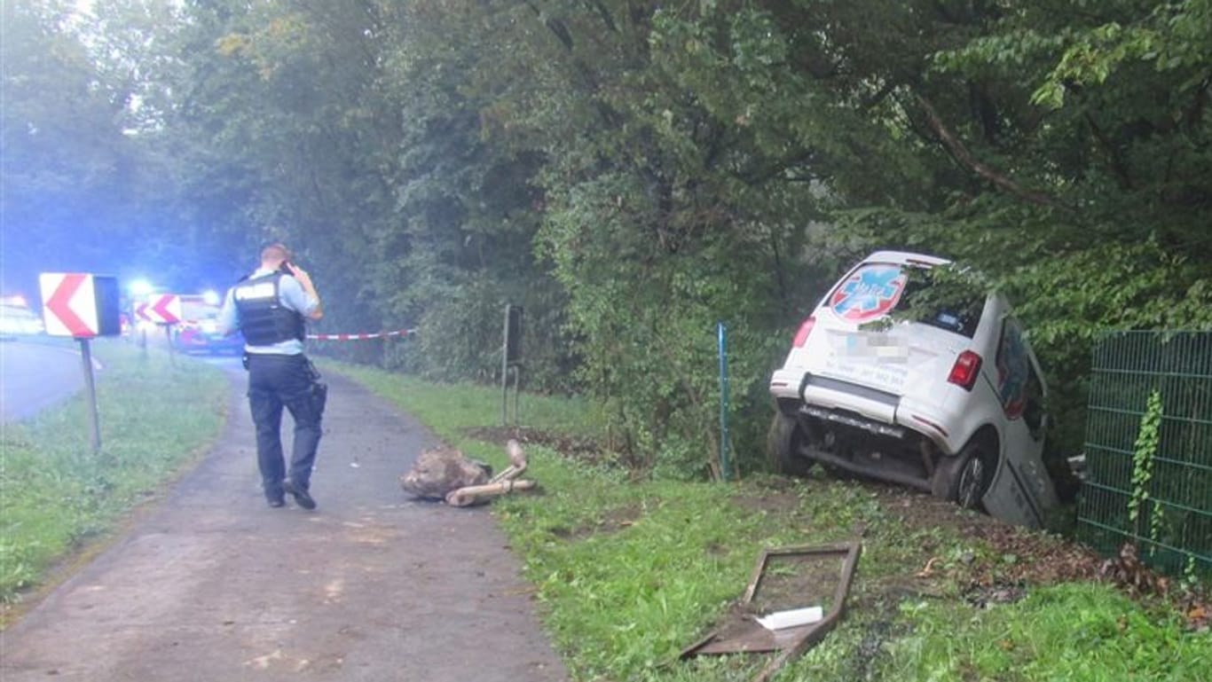Die Unfallstelle: Der VW Caddy walzte einen Zaun nieder.