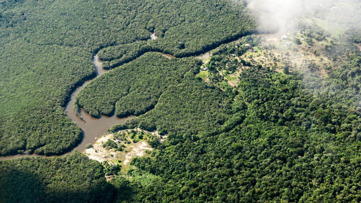 Amazonasgebiet in Brasilien
