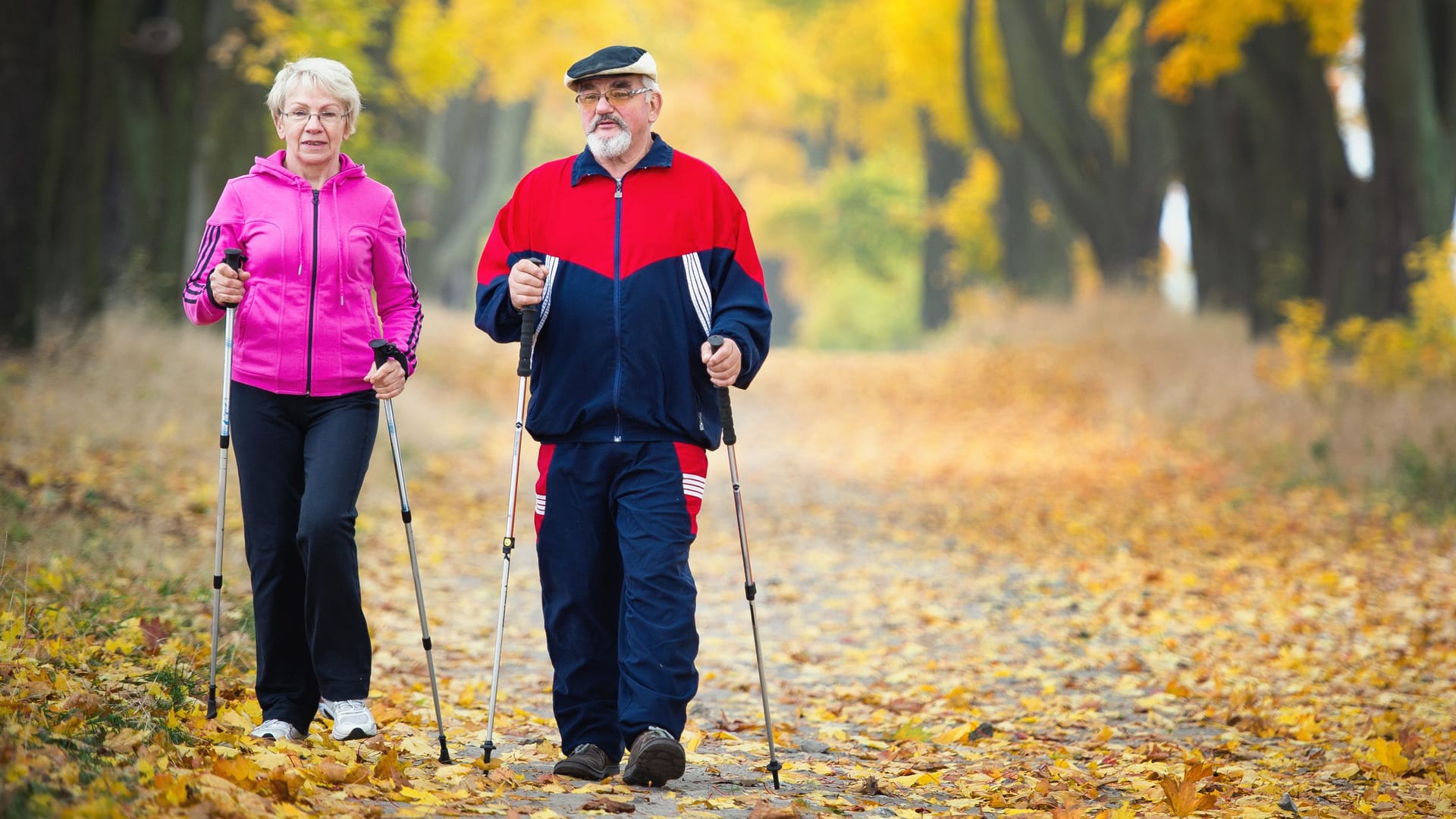 Mann und Frau höheren Alters beim Nordic Walking Mann und Frau höheren Alters beim Nordic Walking