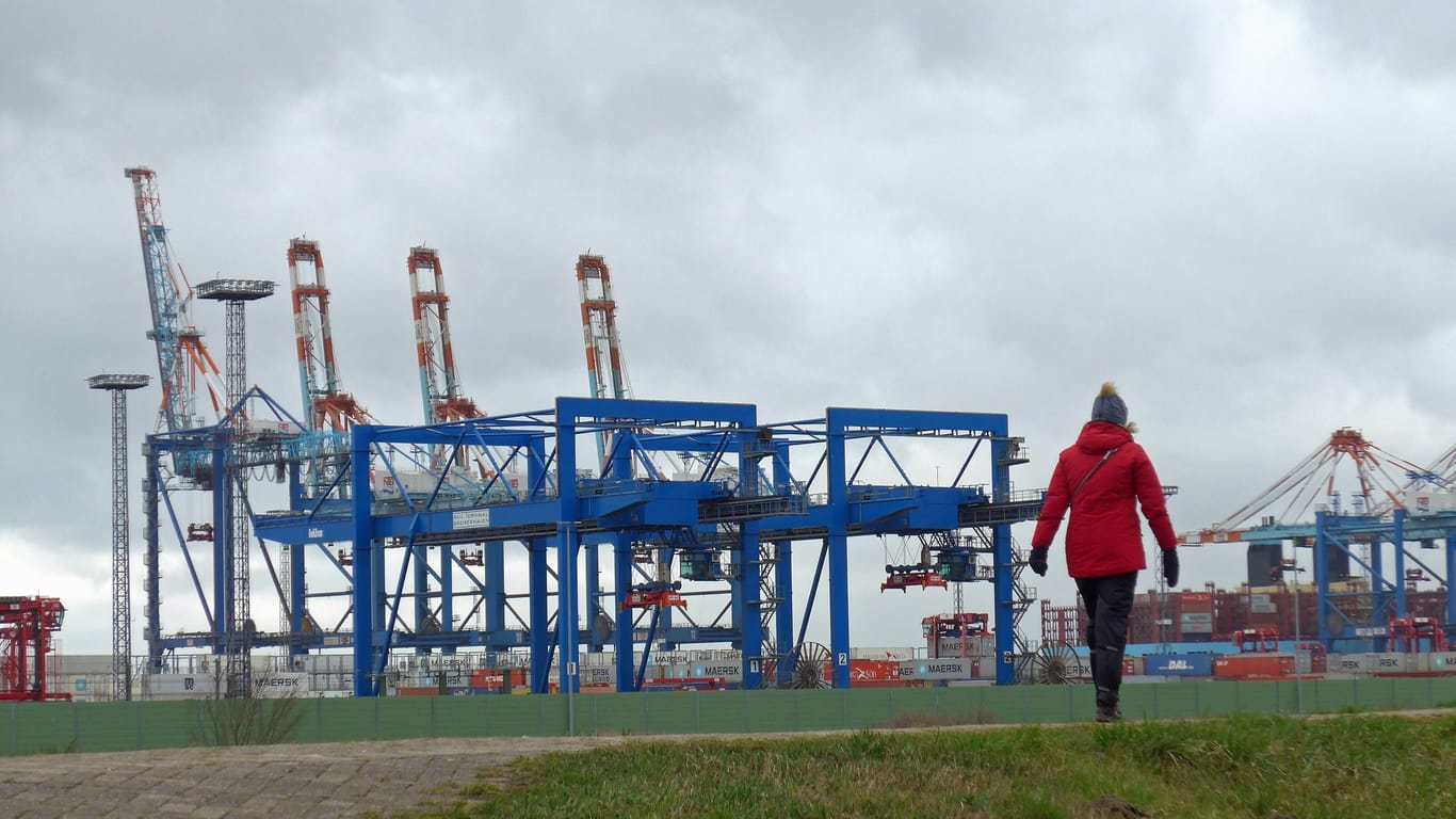 Blick vom Deich auf das Containerterminal Bremerhaven (Symbolbild): Fehlende Planungssicherheit machte Gespräche zwischen den Häfen zuletzt schwierig.