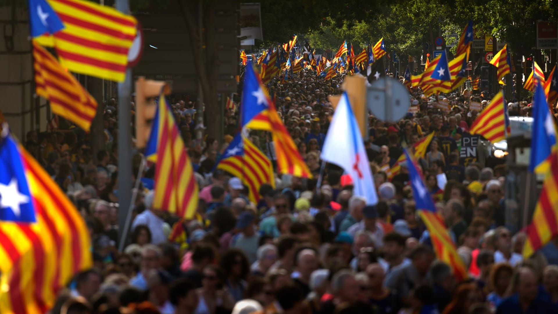 Menschen schwenken Unabhängigkeitsflaggen: Während der Kundgebung für die Abspaltung Kataloniens von Spanien sollen 800.000 Besucher anwesend gewesen sein. Menschen schwenken Unabhängigkeitsflaggen: Während der Kundgebung für die Abspaltung Kataloniens von Spanien sollen 800.000 Besucher anwesend gewesen sein.