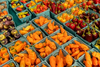 Gemüse in einem Supermarkt (Symbolbild): Vor allem Nahrungsmittel wurden teurer.