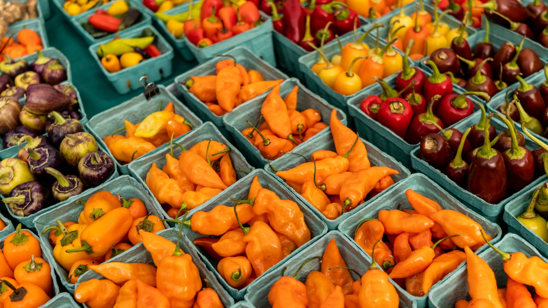 Gemüse in einem Supermarkt (Symbolbild): Vor allem Nahrungsmittel wurden teurer.