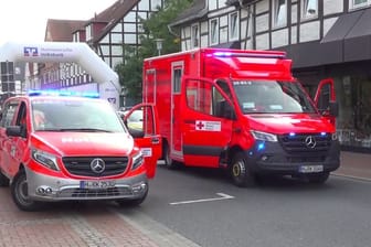 Burgdorf: Hornissen haben die Teilnehmer eines Volkslaufes in Burgdorf bei Hannover am Samstag angegriffen und verletzt