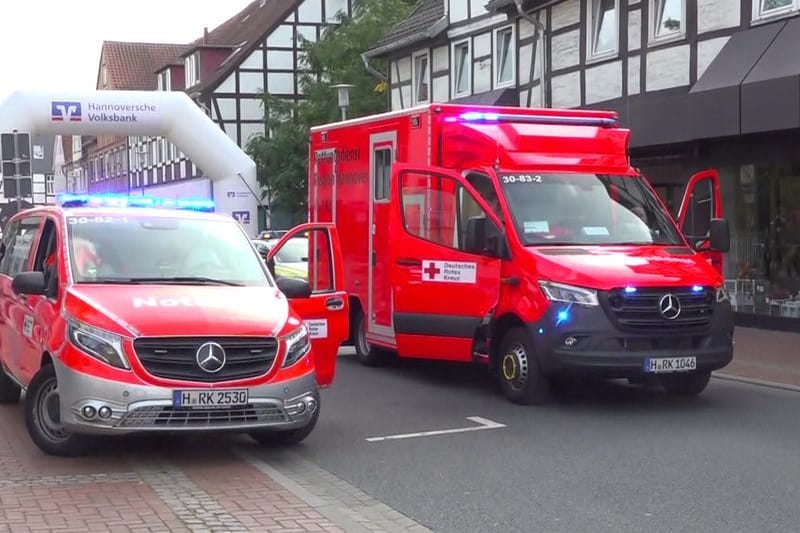Burgdorf: Hornissen haben die Teilnehmer eines Volkslaufes in Burgdorf bei Hannover am Samstag angegriffen und verletzt