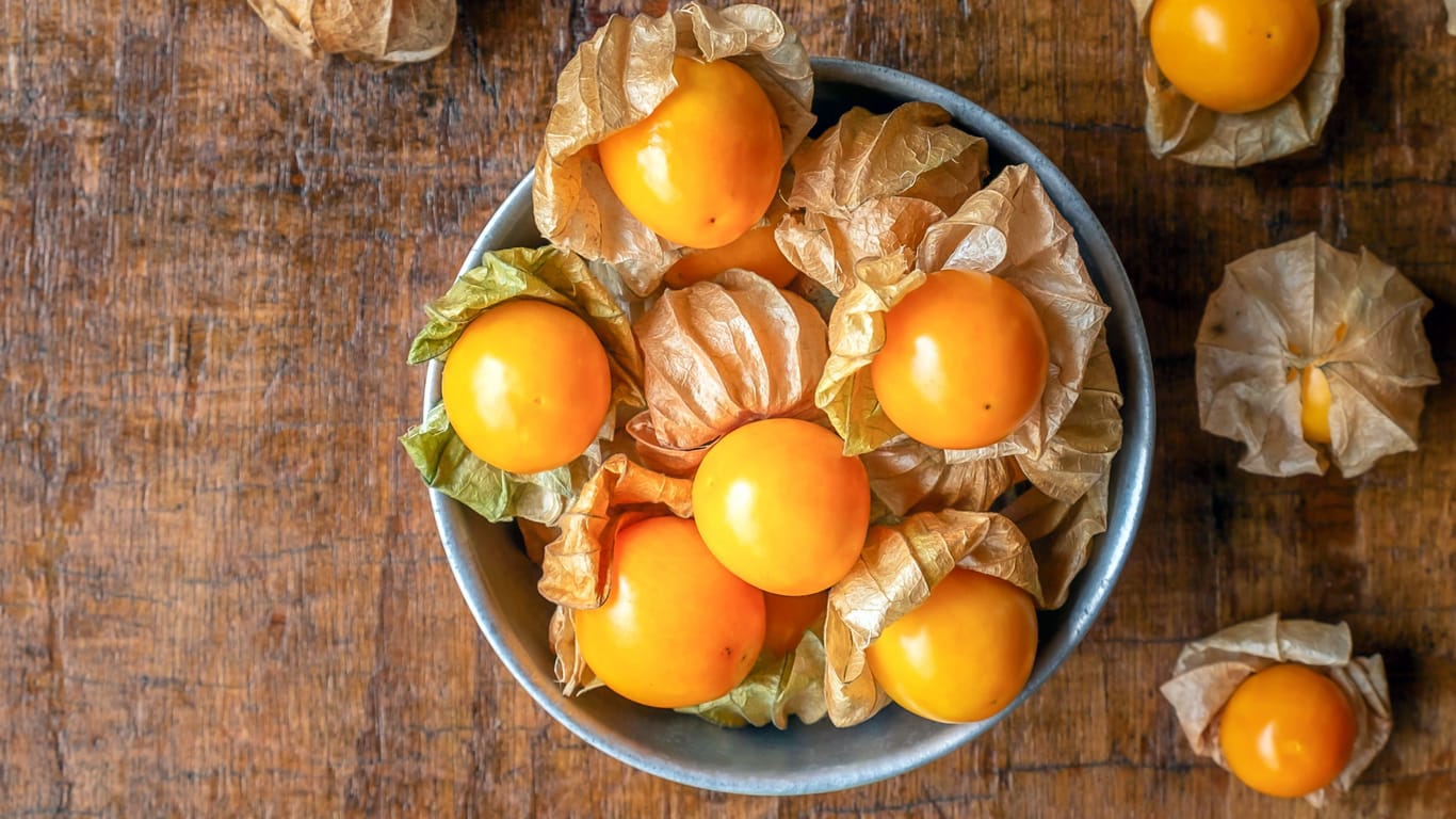 Nur die reifen Früchte der Physalis peruviana sind genießbar und schmecken süß-säuerlich.