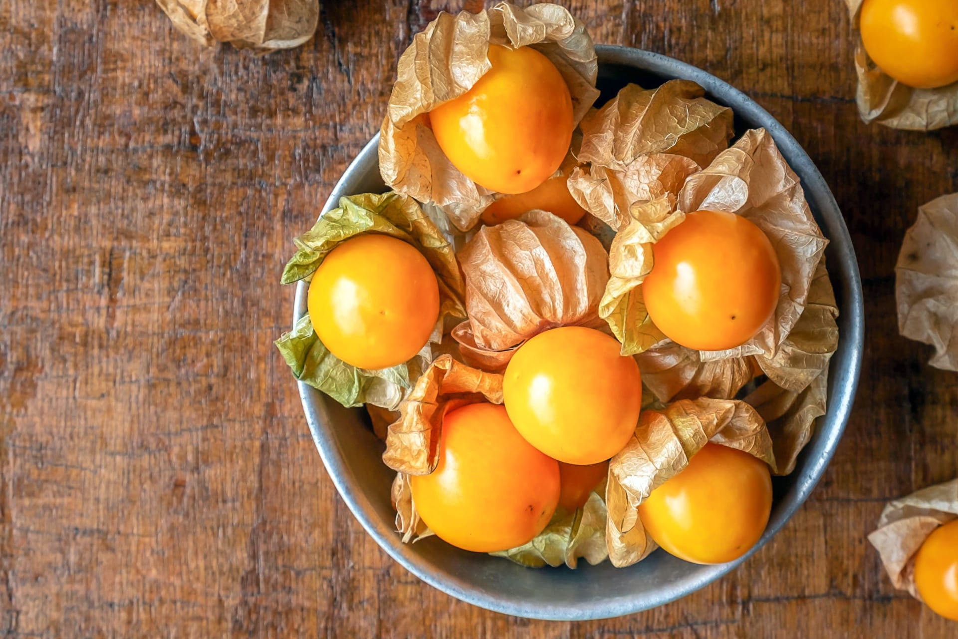 Nur die reifen Früchte der Physalis peruviana sind genießbar und schmecken süß-säuerlich.