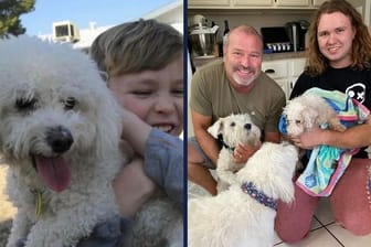 Minion und seine Familie 2011 (links) und 2023: Der Hund war durch ein offenes Tor entwischt.