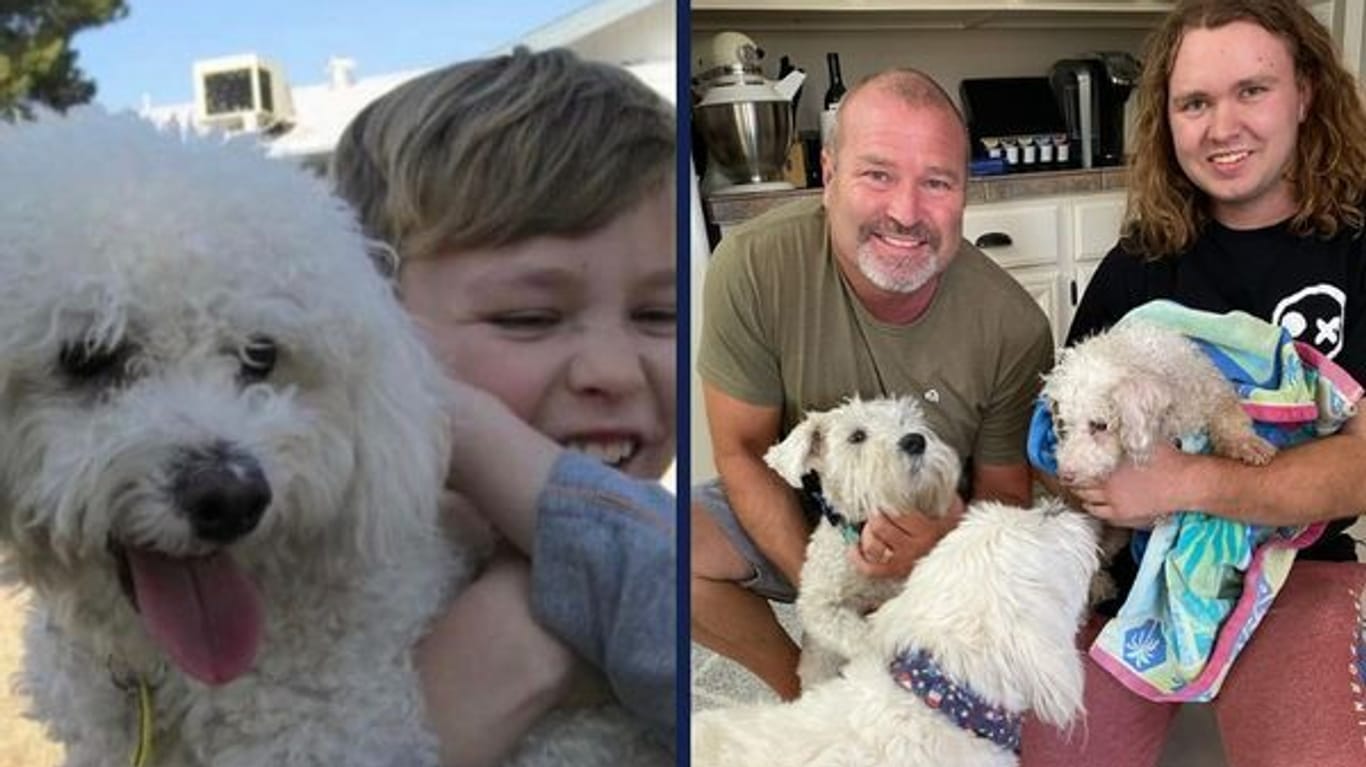 Minion und seine Familie 2011 (links) und 2023: Der Hund war durch ein offenes Tor entwischt.