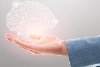 Ein Gehirn schwebt über einer Hand: Testen Sie Ihr Allgemeinwissen. Können Sie es mit diesen Fragen aufnehmen?