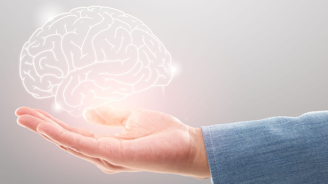 Ein Gehirn schwebt über einer Hand: Testen Sie Ihr Allgemeinwissen. Können Sie es mit diesen Fragen aufnehmen?
