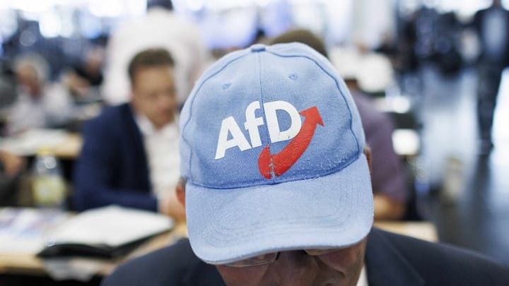 Ein Delegierter aus Bayern trägt ein Basecap mit dem AfD-Logo bei dem AfD-Bundesparteitag in der Magdeburger Messe.