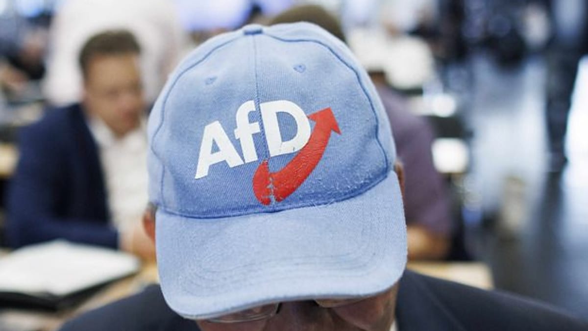 "AfDnee" Die AfD mit den eigenen Waffen schlagen