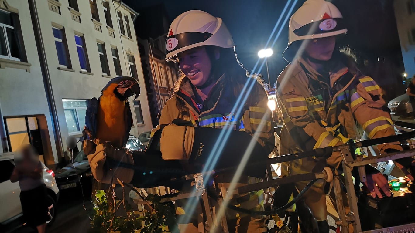 Papagei Coco und seine Retterinnen: Die Feuerwehr musste zu einem tierischen Einsatz ausrücken.