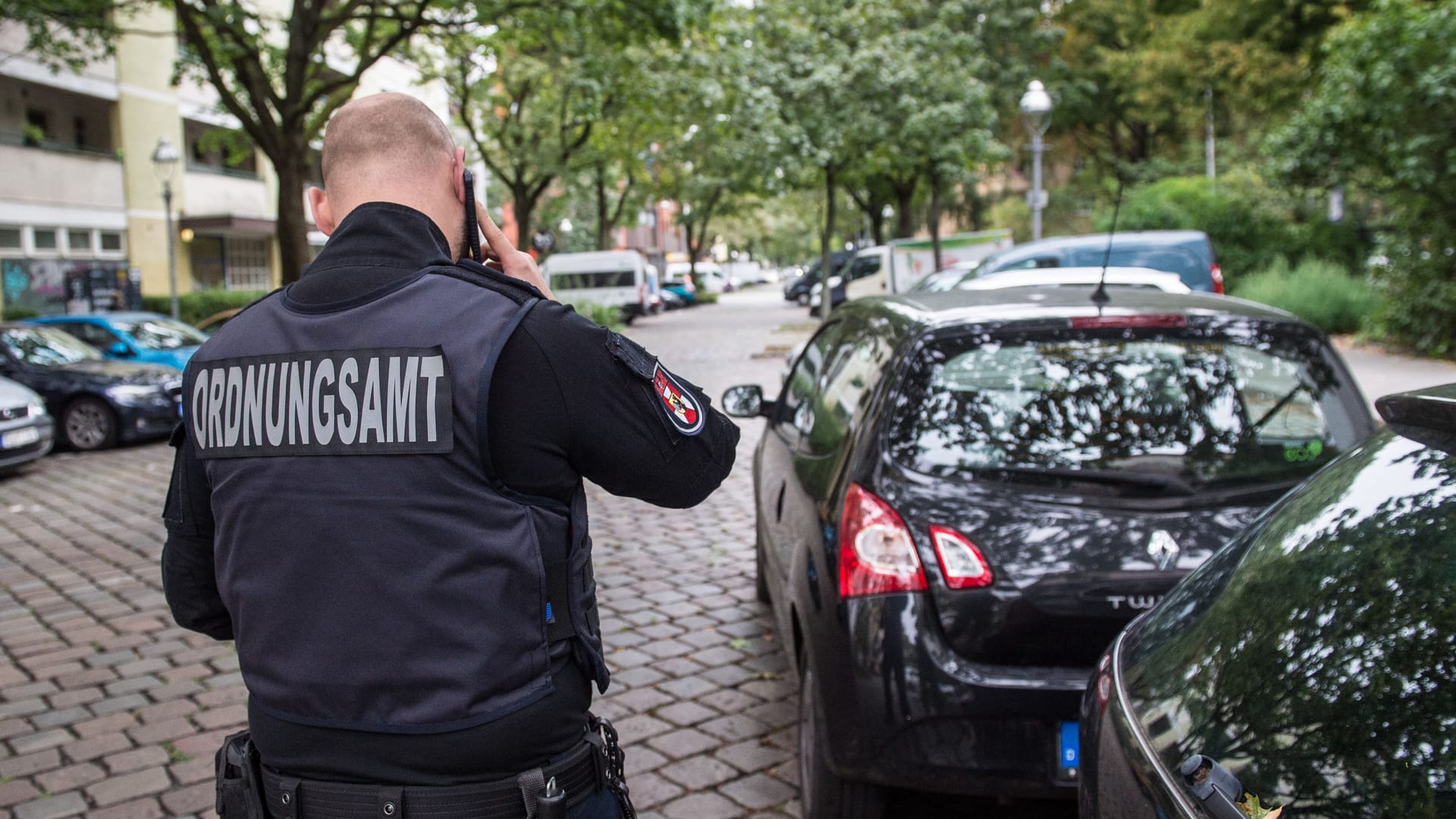 Ein Mann kontrolliert Parktickets (Archivbild): In Berlin war ein Mitarbeiter des Ordnungsamtes offenbar lange ohne Führerschein unterwegs. Ein Mann kontrolliert Parktickets (Archivbild): In Berlin war ein Mitarbeiter des Ordnungsamtes offenbar lange ohne Führerschein unterwegs.