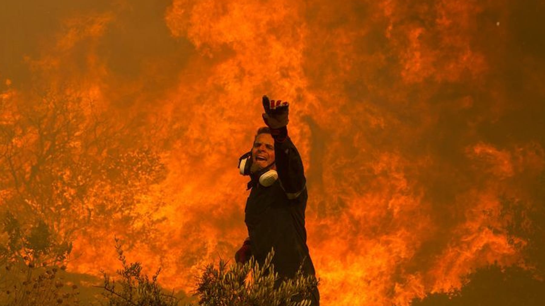 Weltweit verheerende Waldbrände für rekordverdächtige Emissionen