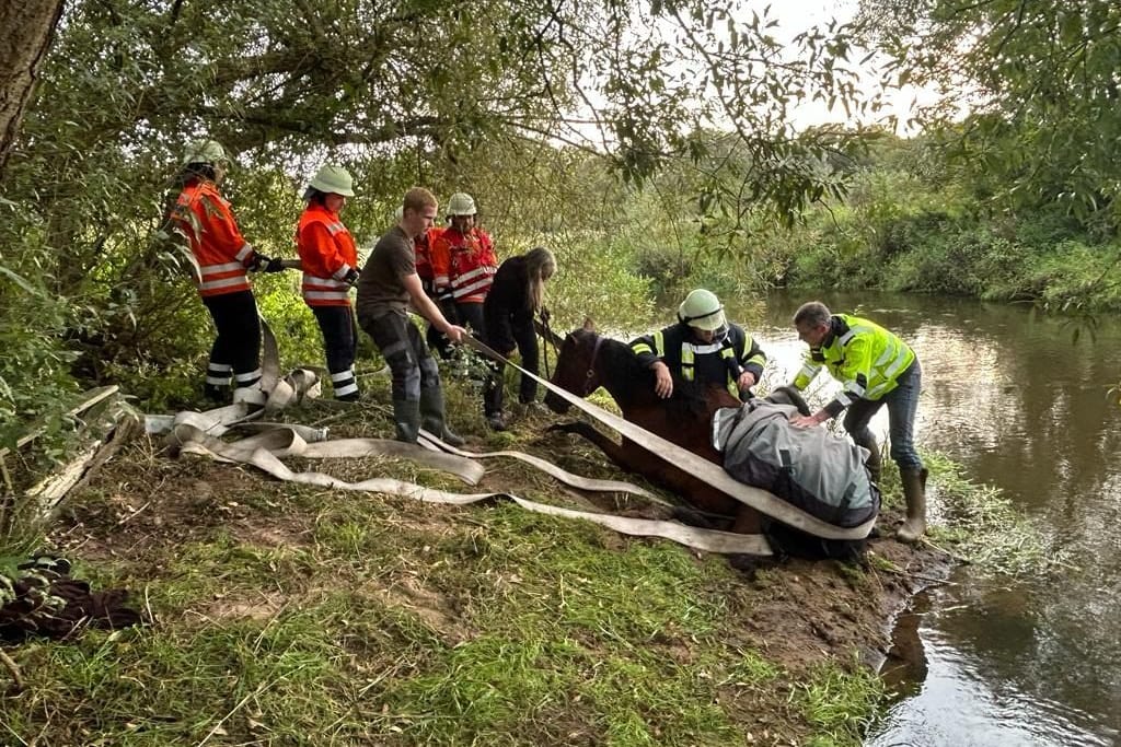 Die Einsatzkräfte ziehen das Pferd mit einem Löschschlauch aus dem Wasser: Es erlitt schwere Verletzungen.