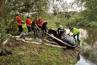 Die Einsatzkräfte ziehen das Pferd mit einem Löschschlauch aus dem Wasser: Es erlitt schwere Verletzungen.