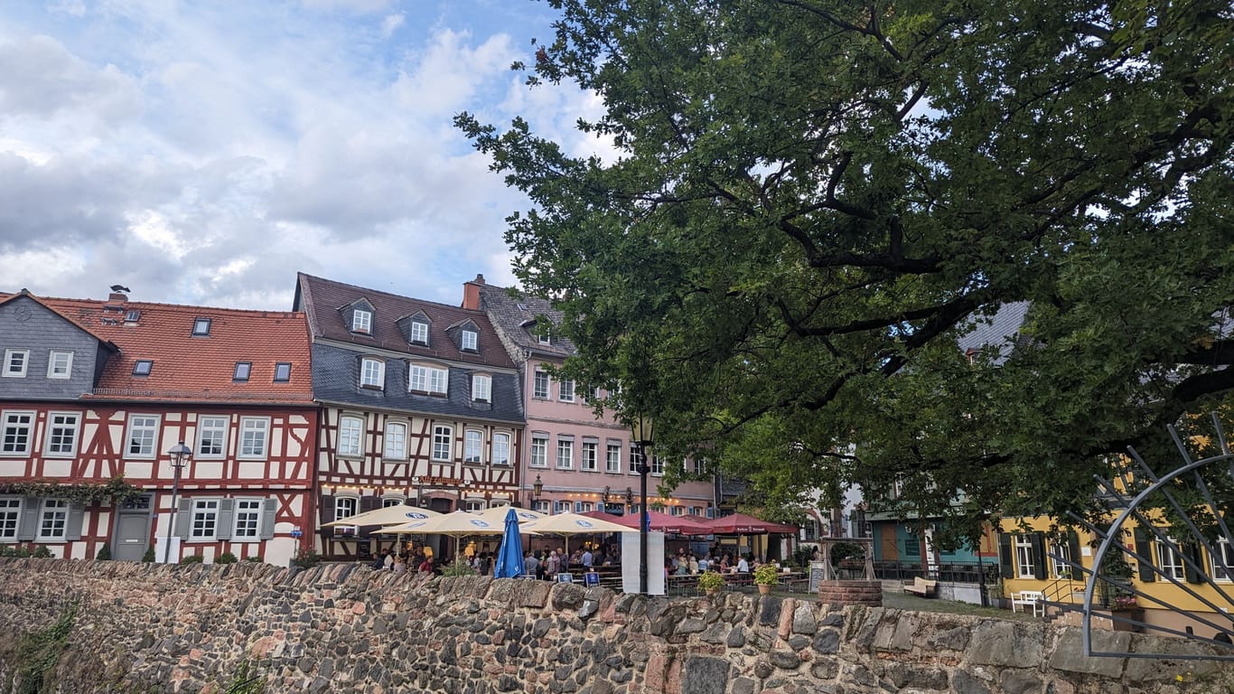 Hächster Schlossplatz in Frankfurt am Main im Spätesommer: Ein Ausflugsziel, das sich lohnt